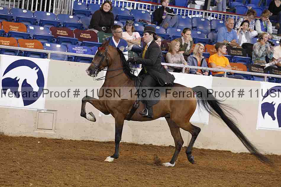 Proof 11usn_14876