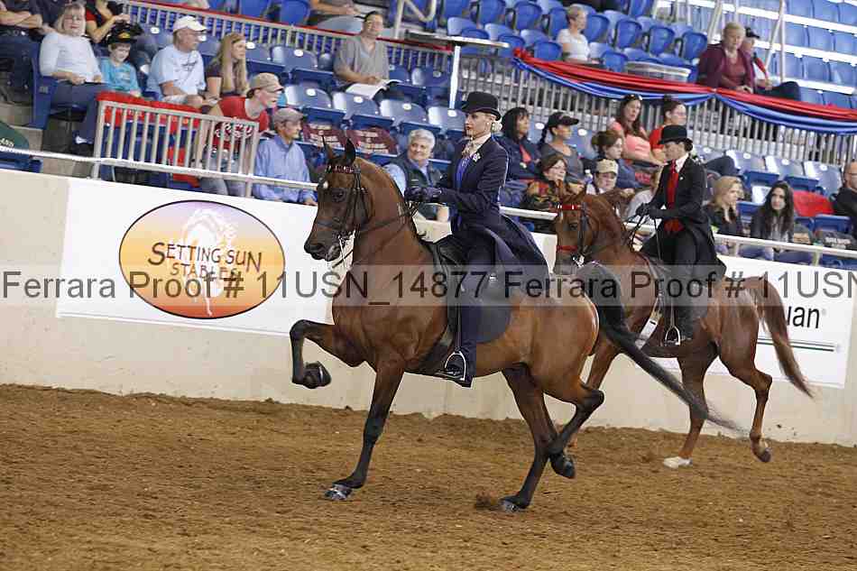Proof 11usn_14877