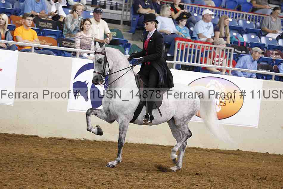 Proof 11usn_14878