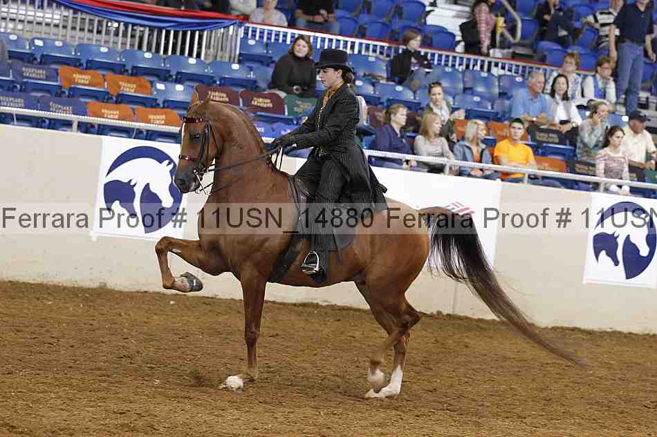 Proof 11usn_14880