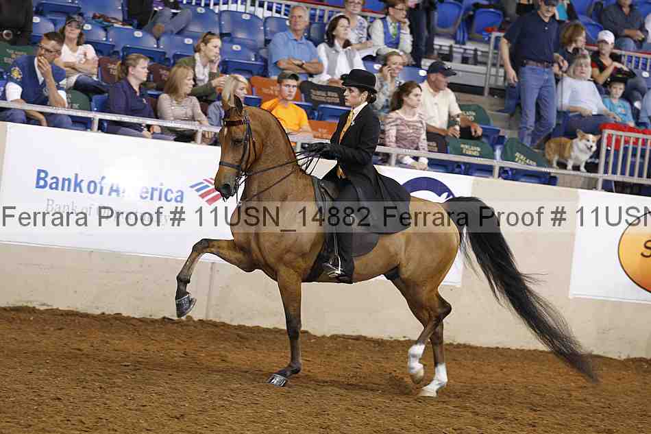 Proof 11usn_14882