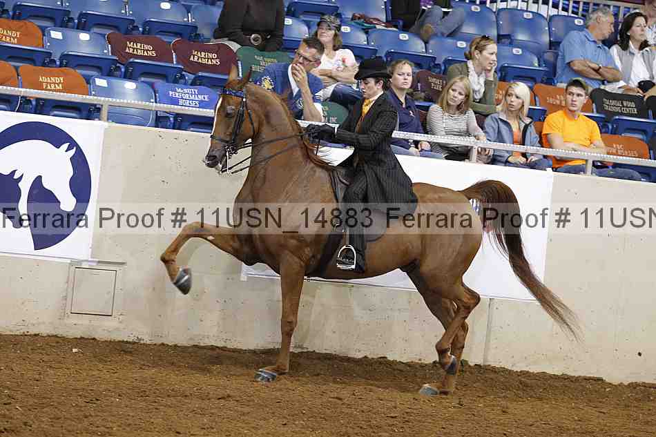 Proof 11usn_14883
