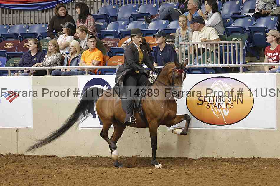 Proof 11usn_14889