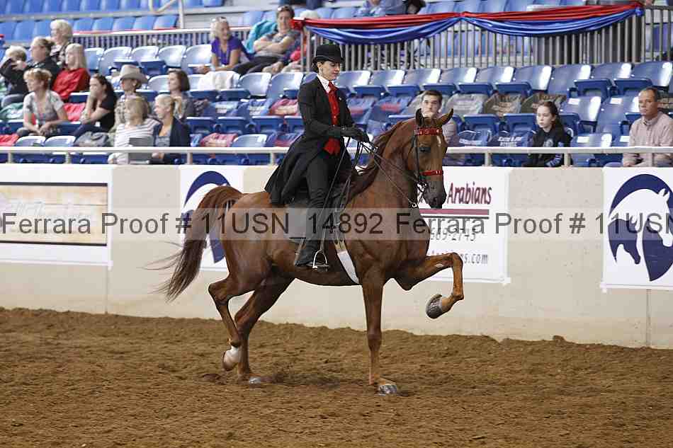 Proof 11usn_14892