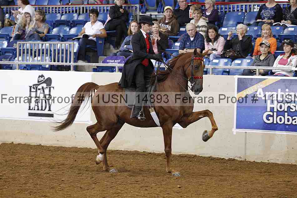 Proof 11usn_14893