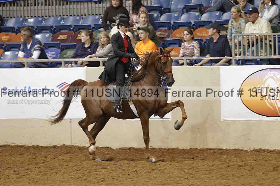 Proof 11usn_14894