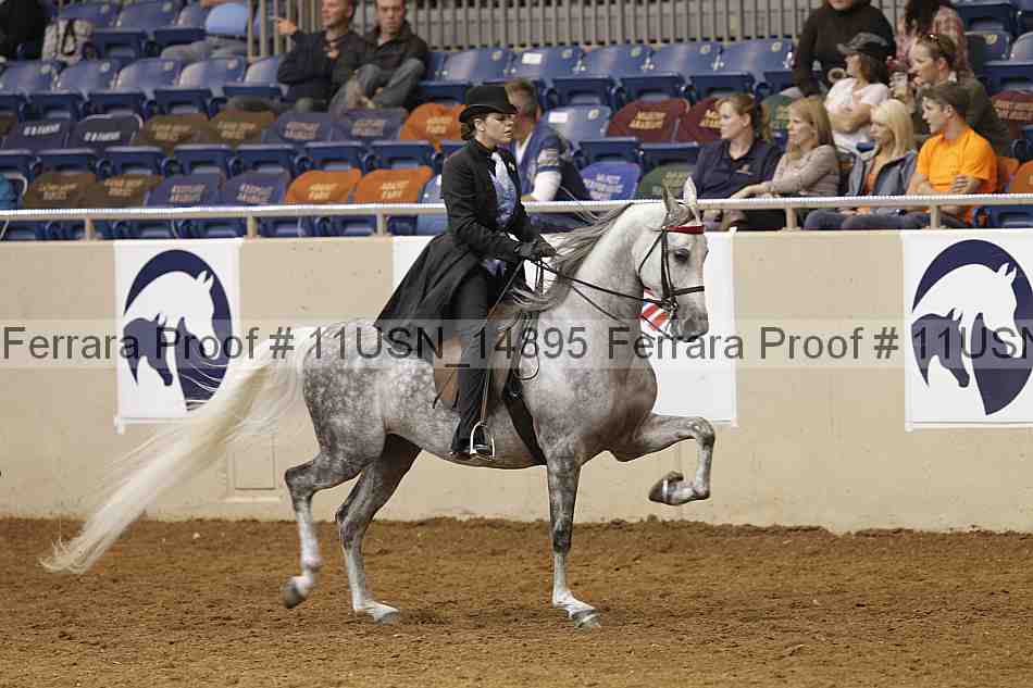 Proof 11usn_14895