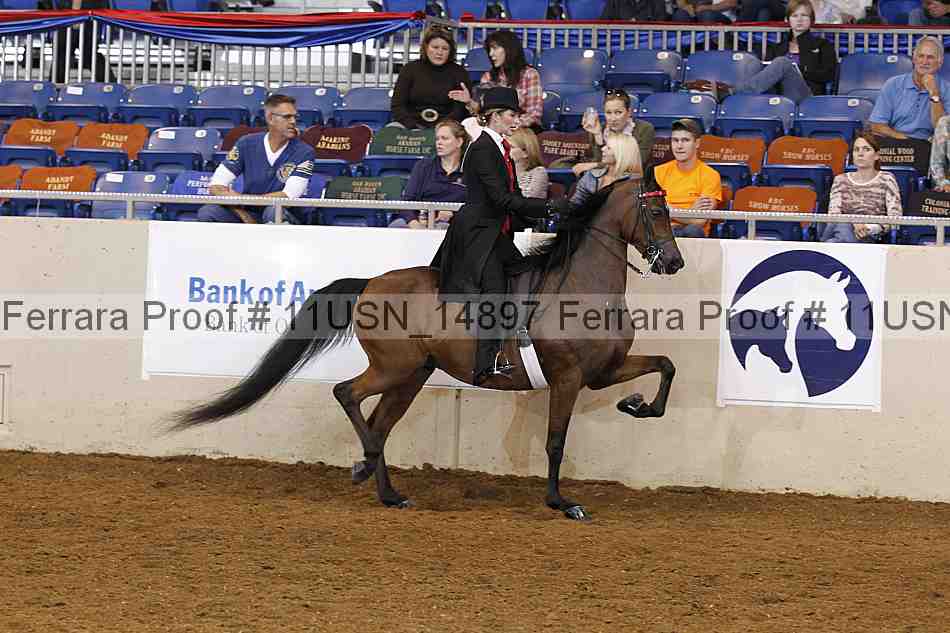 Proof 11usn_14897