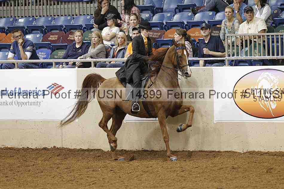 Proof 11usn_14899