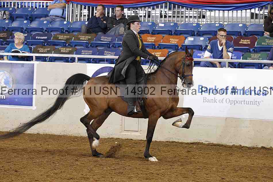 Proof 11usn_14902