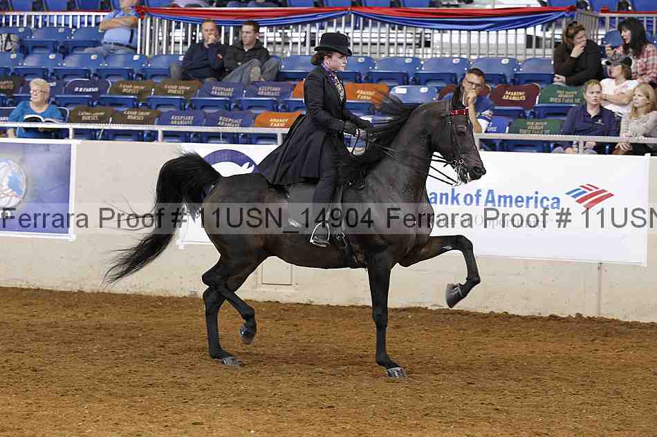Proof 11usn_14904