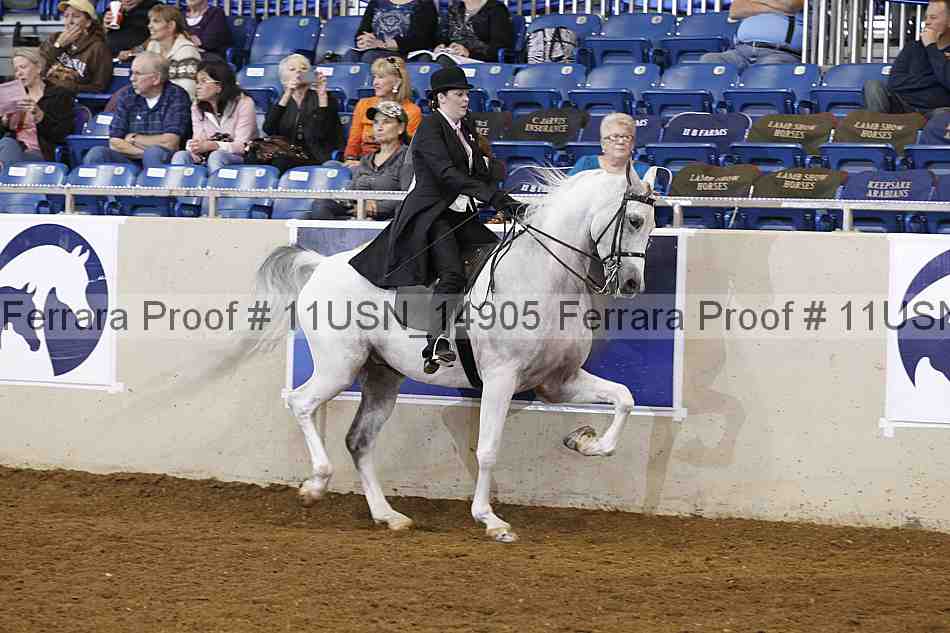 Proof 11usn_14905