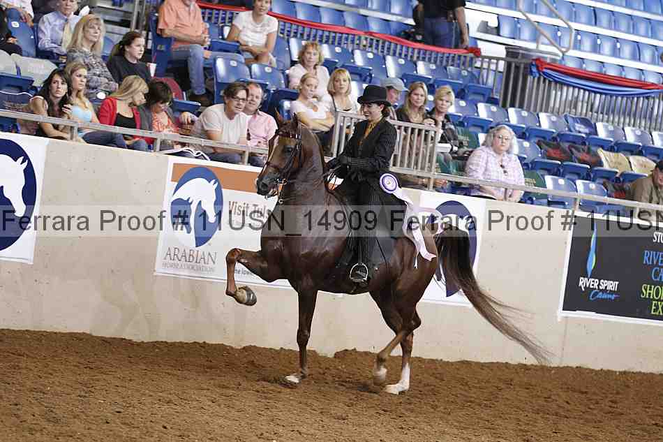 Proof 11usn_14909
