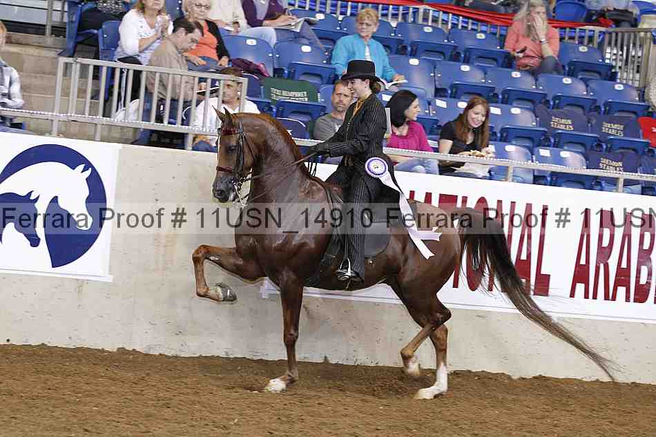 Proof 11usn_14910