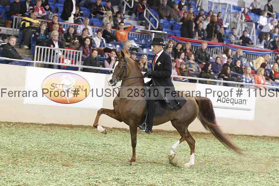 Proof 11usn_28310