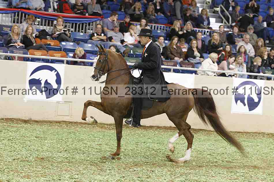 Proof 11usn_28312