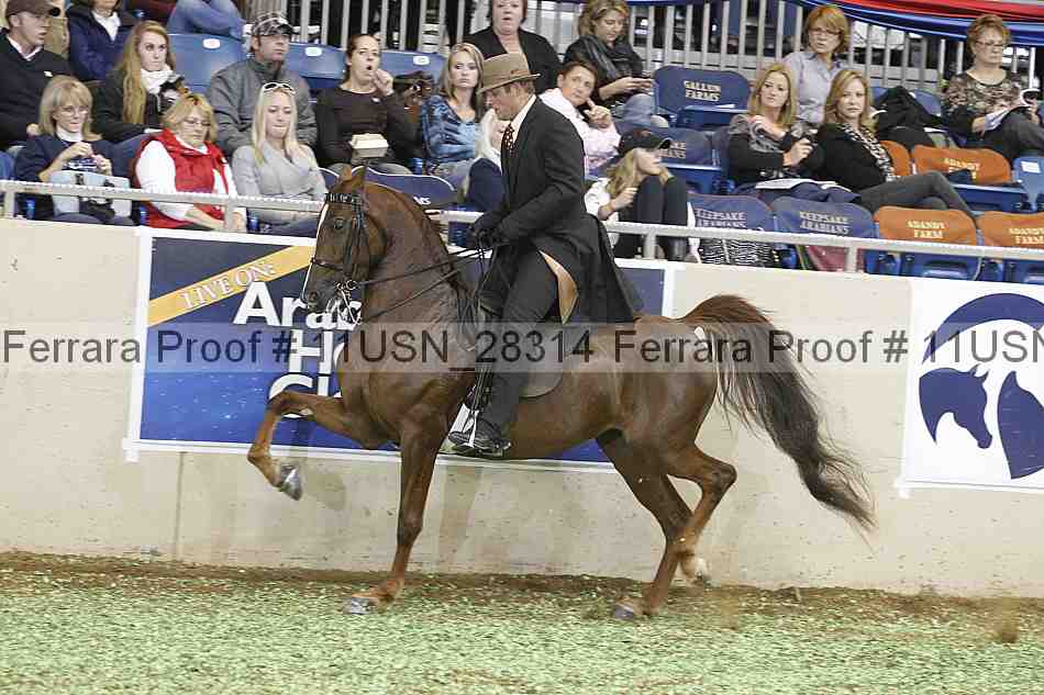 Proof 11usn_28314