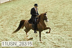 11usn_28315 proof