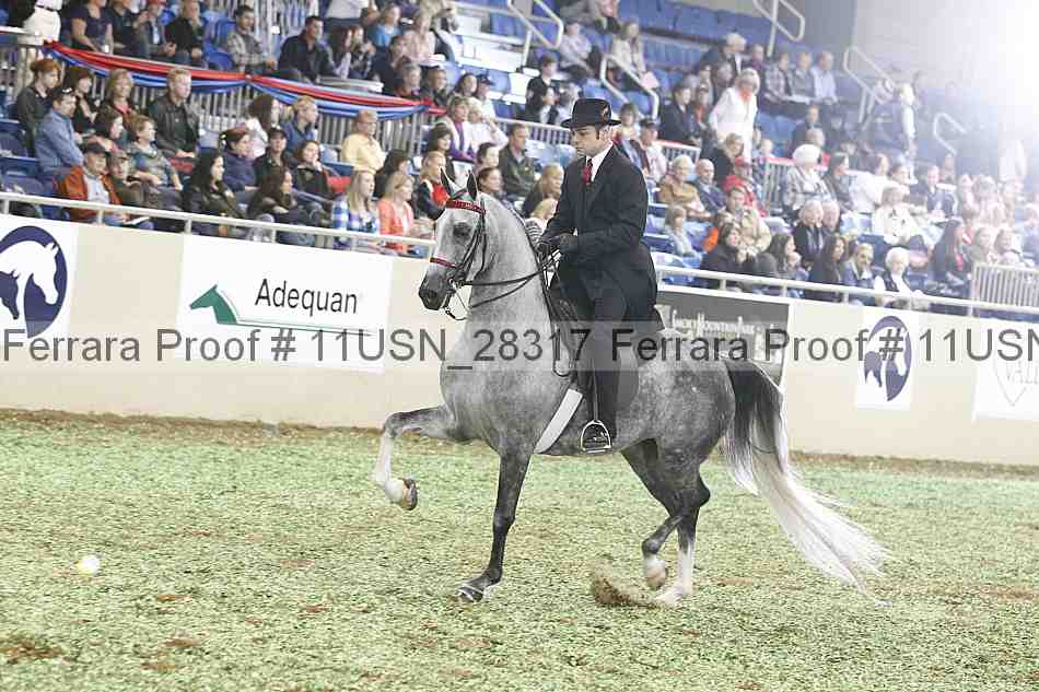 Proof 11usn_28317