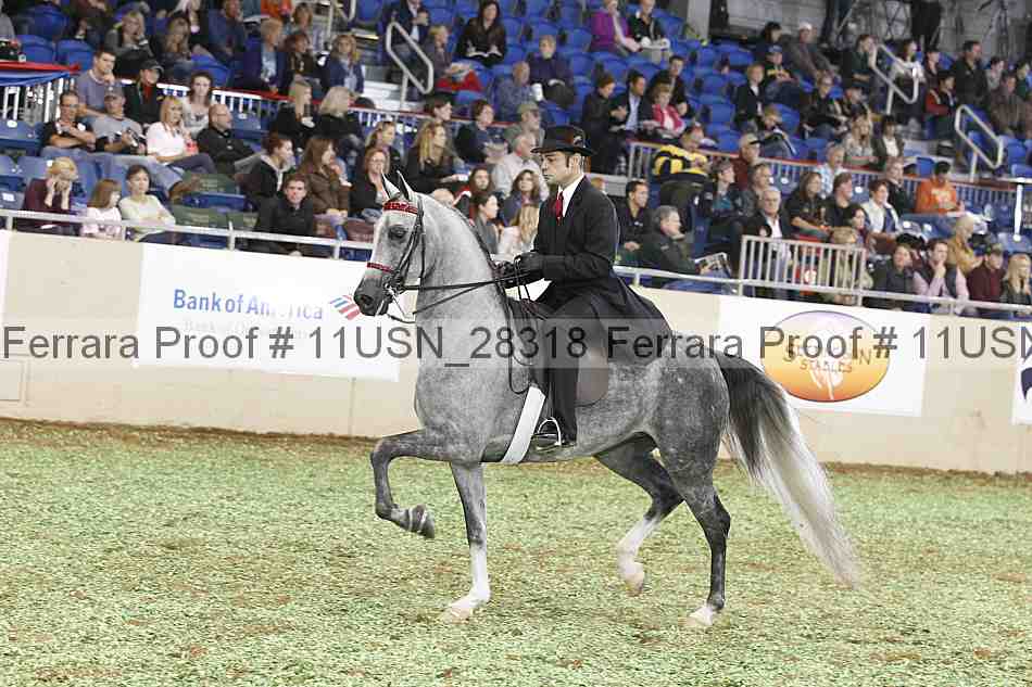 Proof 11usn_28318