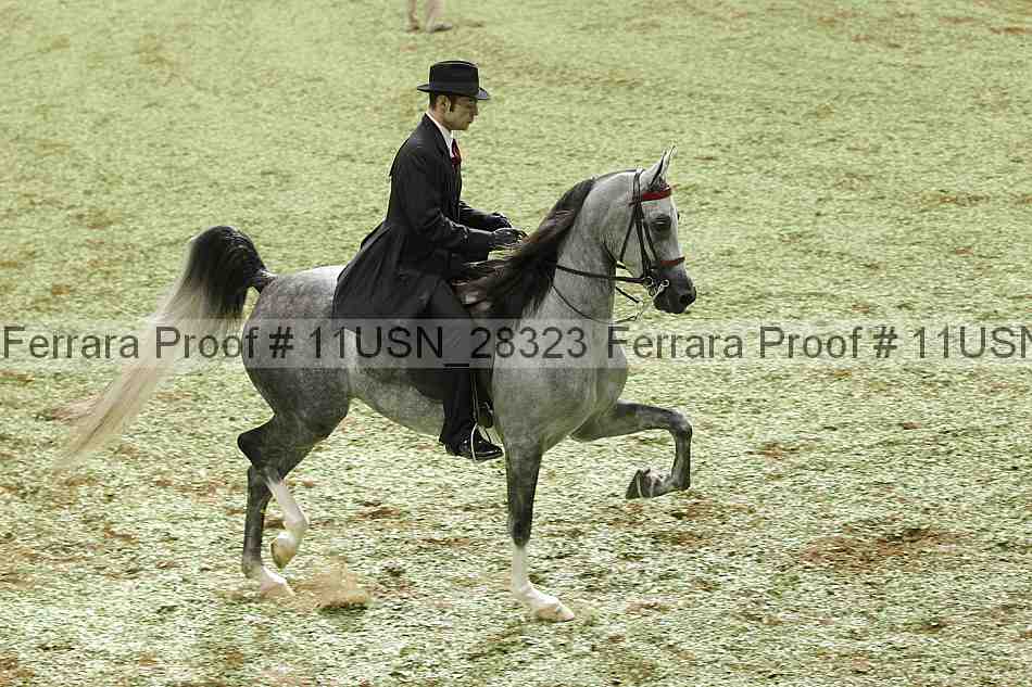 Proof 11usn_28323