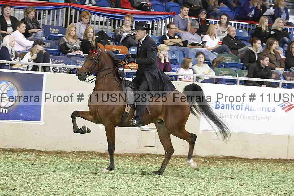 Proof 11usn_28325