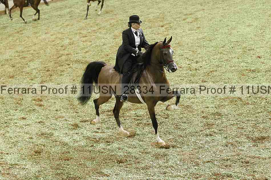 Proof 11usn_28334