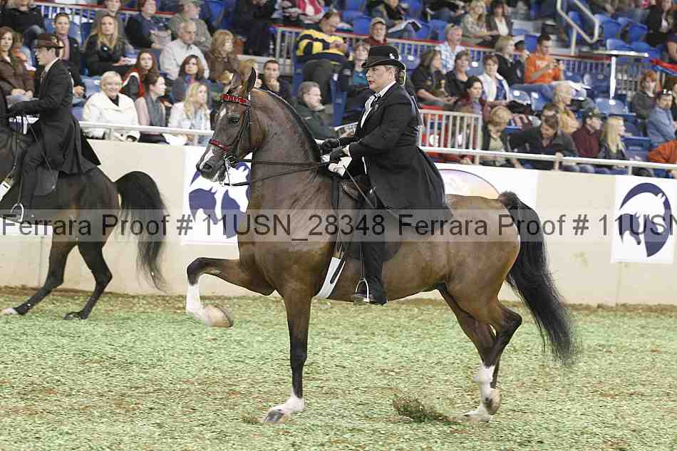 Proof 11usn_28348