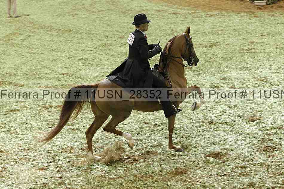 Proof 11usn_28352