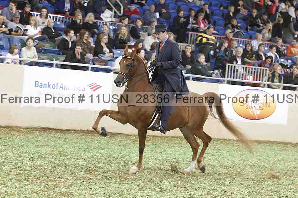 Proof 11usn_28356