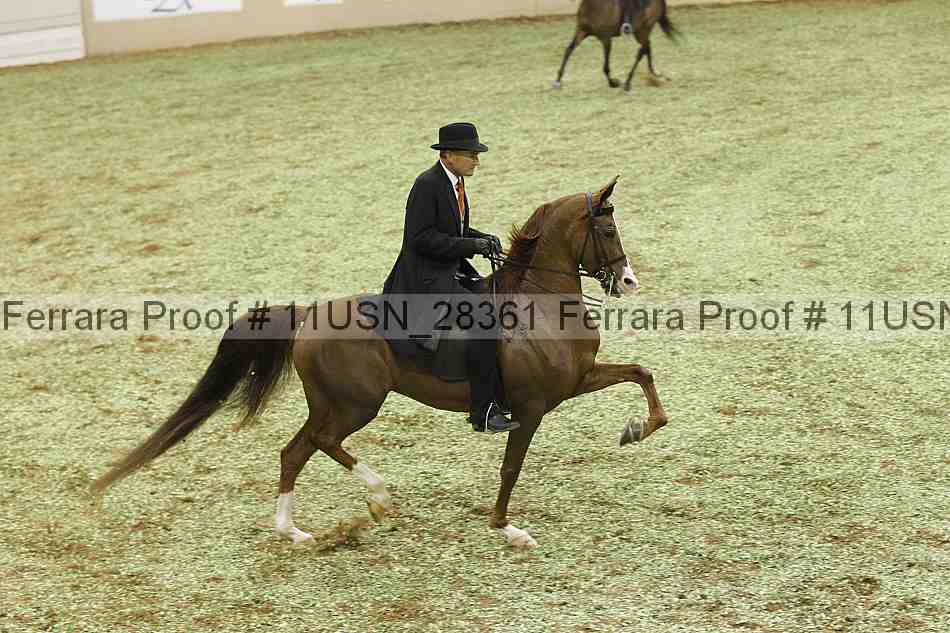 Proof 11usn_28361