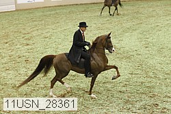 11usn_28361 proof