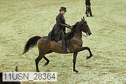 11usn_28364 proof