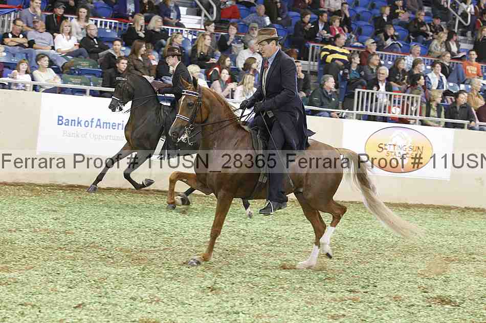 Proof 11usn_28365