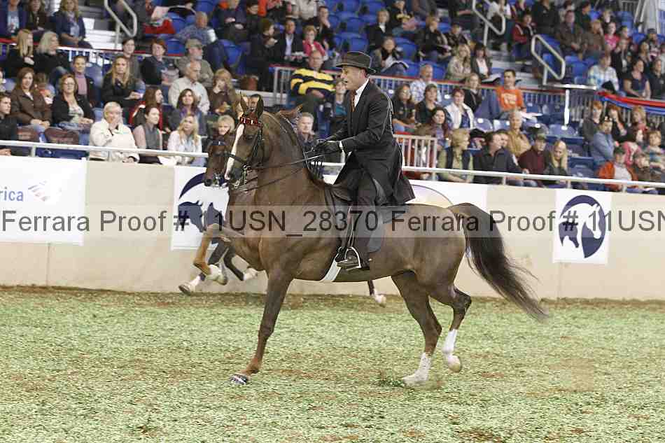 Proof 11usn_28370