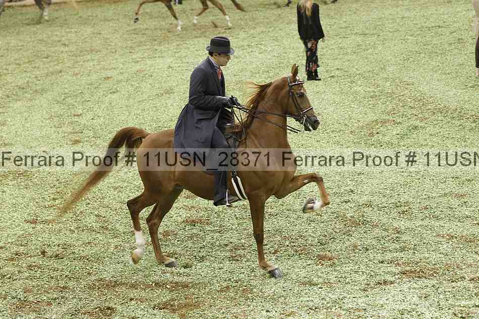 Proof 11usn_28371