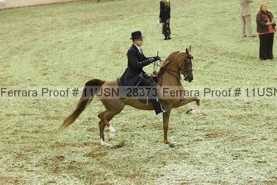 Proof 11usn_28373