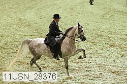 11usn_28376 proof