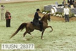 11usn_28377 proof