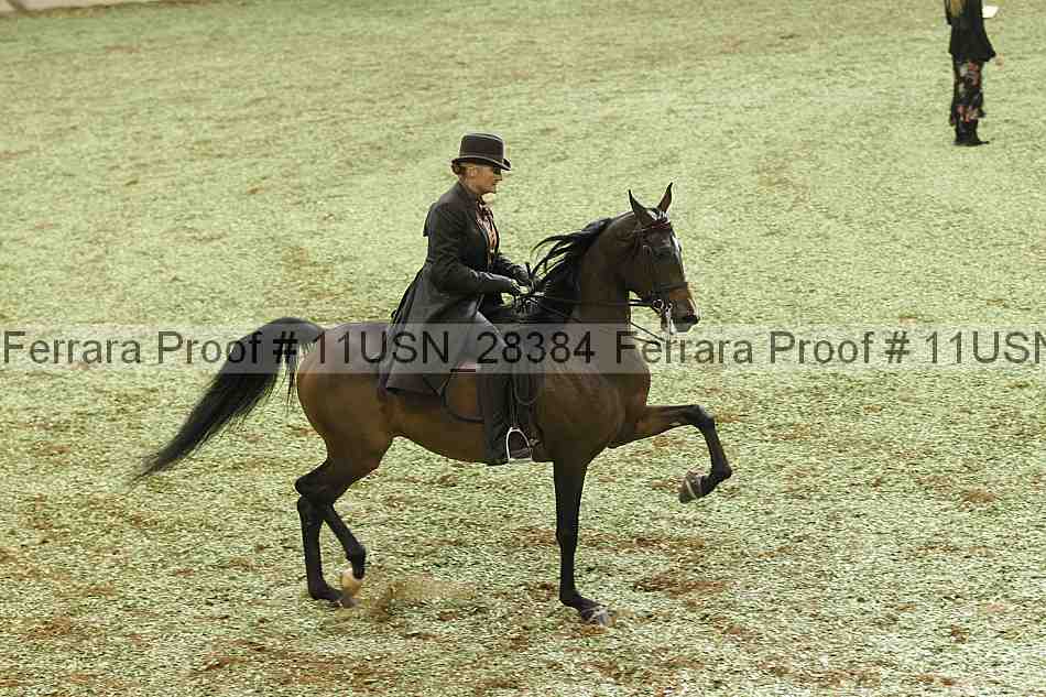 Proof 11usn_28384
