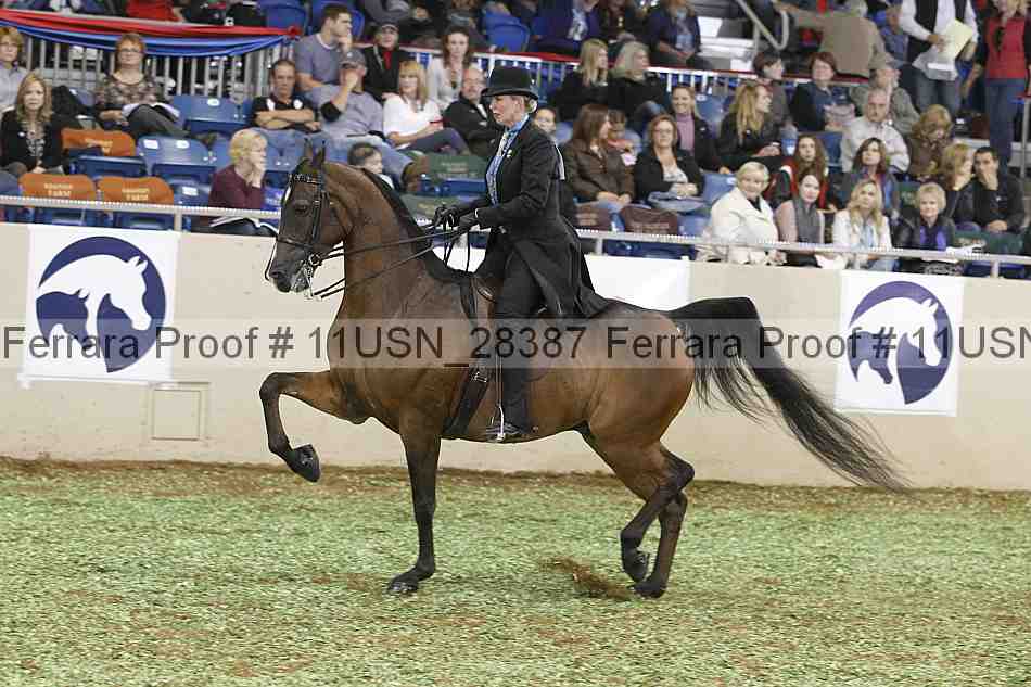 Proof 11usn_28387