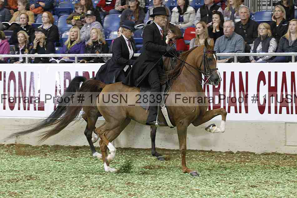 Proof 11usn_28397