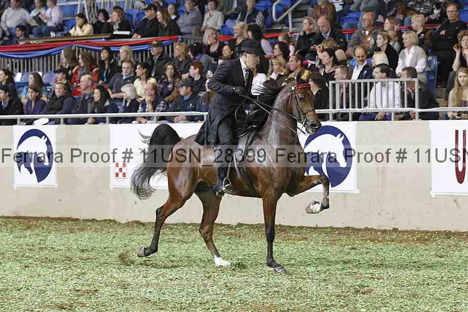 Proof 11usn_28399