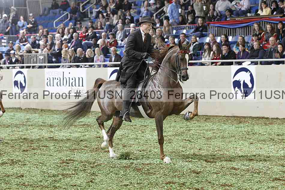 Proof 11usn_28403