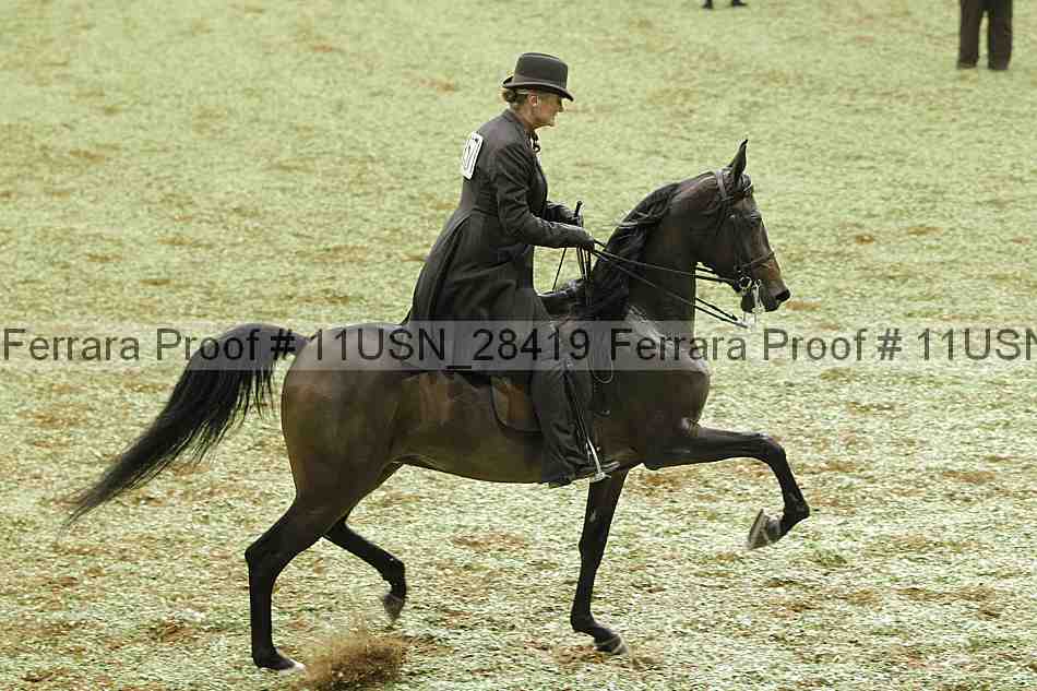 Proof 11usn_28419