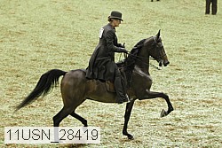 11usn_28419 proof