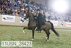 11usn_28423 proof