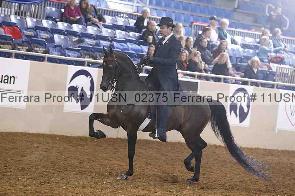 Proof 11usn_02375