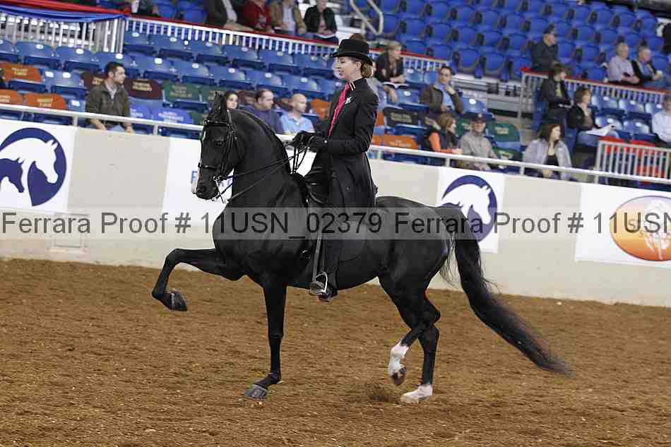 Proof 11usn_02379