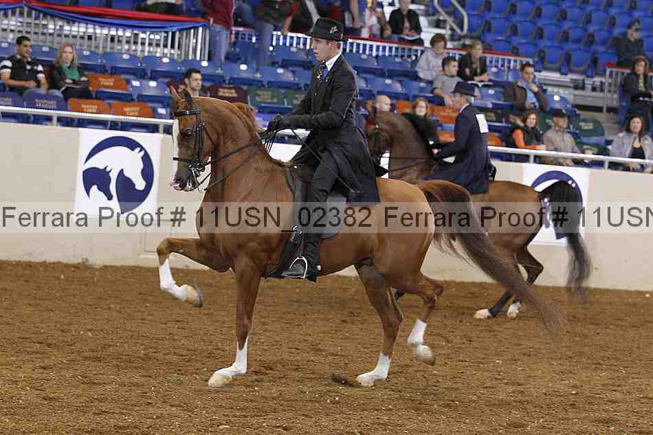 Proof 11usn_02382